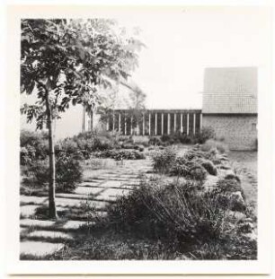 Grünflächen an der Albrecht-Dürer-Schule, Bromberg: Garten und Laubengang