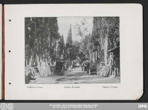 Cimetière de Scutari.