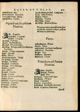 Volatilium, vel Avium Nomina.