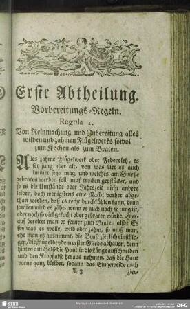 Erste Abtheilung. Vorbereitungs-Regeln