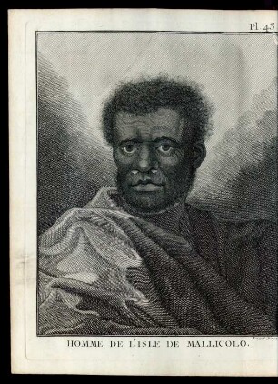 Pl. 43 Homme De L'Isle De Mallicolo.