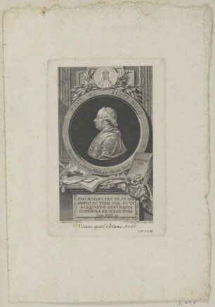 Bildnis des Pivs VI