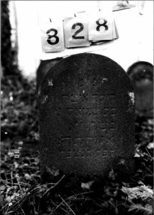 Grabstein 828 (neu: 79)