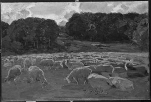Schafherde auf der Weide vor einem baumbestandenen Hang