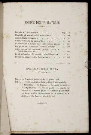 Spiegazione Della Tavola
