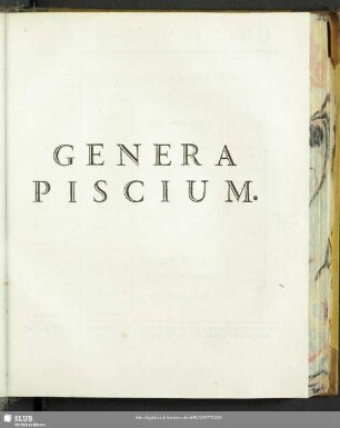 Genera Piscium