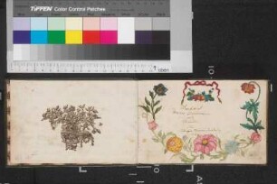 [Stammbuch Johanna Eleonora Saurhering]