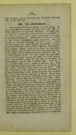 41. Die Fledermaus