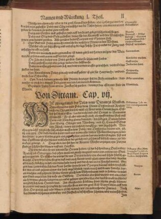 Von Dictam, Cap. VII