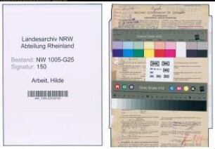 Entnazifizierung Hilde Arbeit , geb. 08.07.1911 (Drogistin)