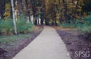Potsdam, Park Sacrow, Bau des westlichen Drive (Friedhofsweg).
