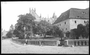 Schulpforta. Alte Linde