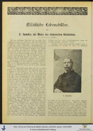 Elsässische Lebensbilder.