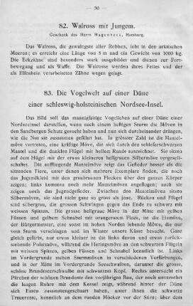 83. Die Vogelwelt auf einer Düne einer schleswig-holsteinischen Nordsee-Insel.