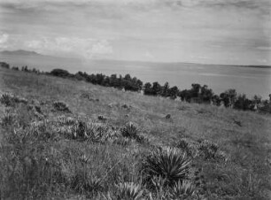 Victoriasee : Der Victoriasee bei Kisumu