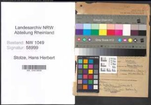 Entnazifizierung Hans Herbert Stolze , geb. 29.08.1903 (Abteilungsleiter)