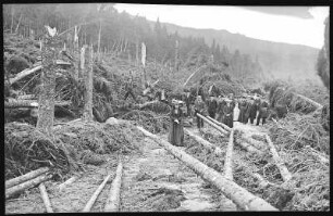 Schierke. Waldverwüstungen nach Gewittersturm