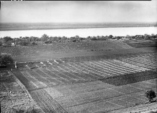 Lom: Donaulandschaft, unten Gartenbau