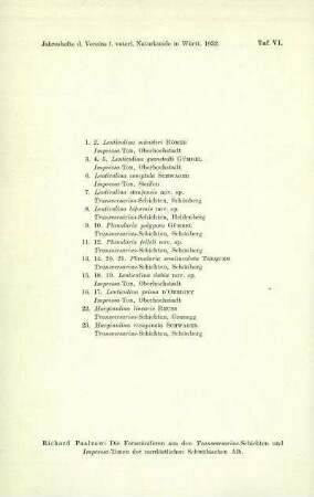 [Erklärung zu] Tafel VI, Abb. 1-23