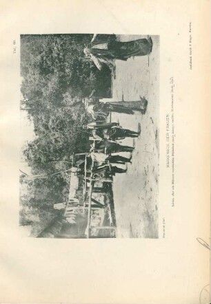 Taf. 60. Maskerade der Frauen
