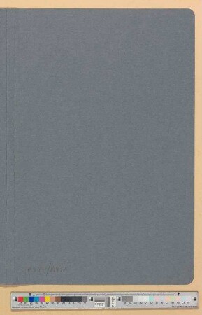 Deutsche Garantiemaßnahmen.- Neue Reparationsverhandlungen ab 1923: Bd. 2