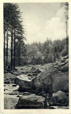 Ansicht aus dem Gottleubatal (Erzgebirge)