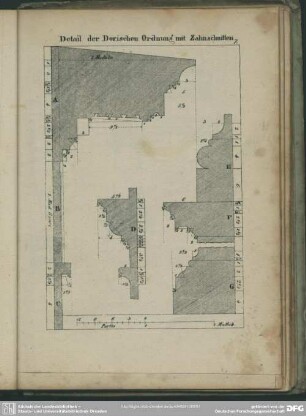 7. Detail der Dorischen Ordnung mit Zahnschnitten