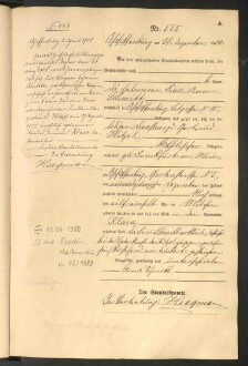 Standesamtsbuch der Stadt Aschaffenburg: Geburten 365/1900 - 184/1901