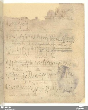 [113.] Anonymus: Alleluia et confestim
