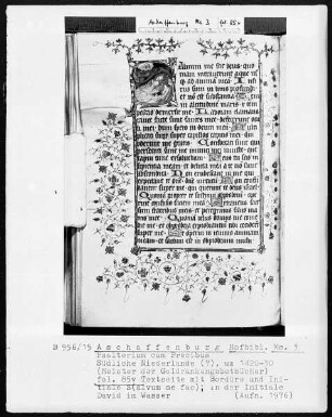 Psalterium cum Precibus — Initiale S (alvum me fac) mit David im Wasser, Folio 85verso