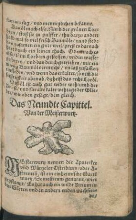 Das Neundte Capittel. Von der Meisterwurtz.