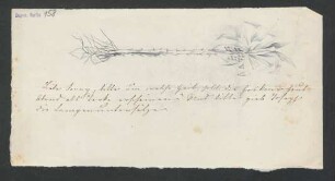 Billet an Fanny Hensel : 1846