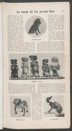 La moda de los perros feos