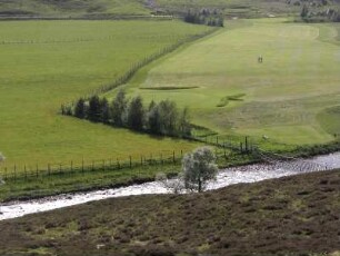 Wiesenlandschaft im schottischen Hochland nahe Breamar