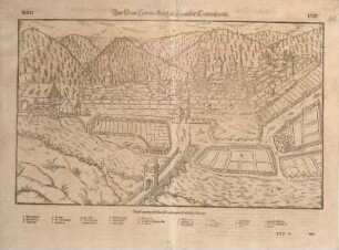 Der Statt Hammelburg in Francken Contrafactur