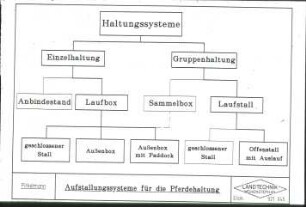 Übersicht: Pferdehaltung, Auslauf, Weidehaltung