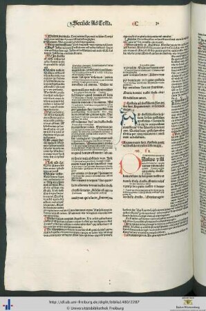 Argumentum in secundam