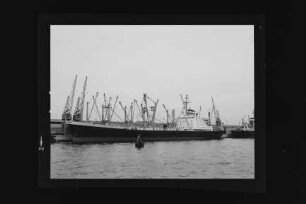 Alemannia (1965), Hapag.- Hamburg-Amerikanische Packetfahrt-Actien-Gesellschaft, Hamburg