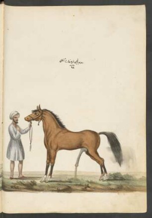 Illustration: f. 91v-92r