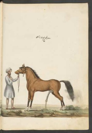 Illustration: f. 91v-92r
