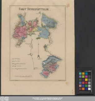 Forst-Revier Gittelde