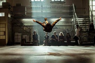 Fly