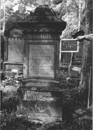 Grabstein 548 (Index: 99895439) Material: Sandstein Zustand: leicht verwittert Maße HxBxT: 160x49x20 cm Beschreibung: Stele mit Aufsatz; profilierter Sockel Symbolik: florale Ornamente: Grabstein 548 (1)