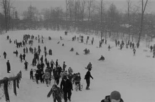 Leipzig, Johannapark. Kinder beim Ski- und Schlittenfahren im Johannapark