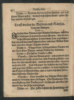 XIII. Trost wieder die Witwen und Wäysen, Noth und Anliegen.