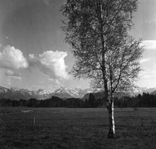 Vorgebirge