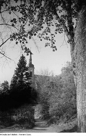 Stadtkirche