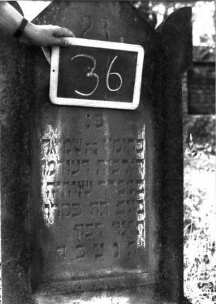 Grabstein 36 (Index: 100100952) Material: Sandstein Zustand: verwittert, im Sockel mit Textverlust Maße HxBxT: 123x59x11 cm Beschreibung: Stele, giebelartiger Abschluß mit Eckakroteren, eingetieftes Schriftfeld mit Rundbogen Besonderheit: eingemeißelte Nummer: 23: Grabstein 36A