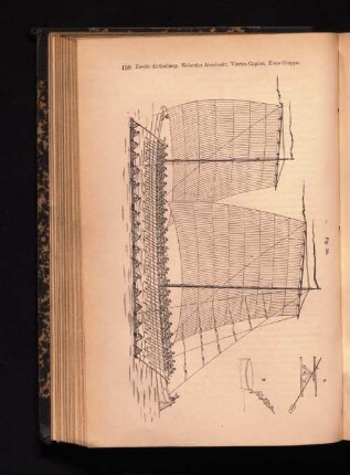 Fig. 56.