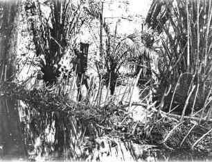 Fischwehr : Ein überschwemmter Galeriewald mit einem Fischwehr. Auf dem Wehr steht ein Mann mit einem geflochtenen Korb in der Hand, möglicherweise eine Reuse zum Fischfang.